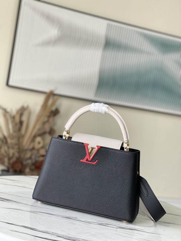 LV Handbags 254